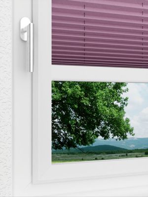 Preview LYSEL HOME Plissee 421A Pearly Crush 3