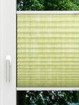 LYSEL HOME Plissee 417A Resolutos Fensteransicht