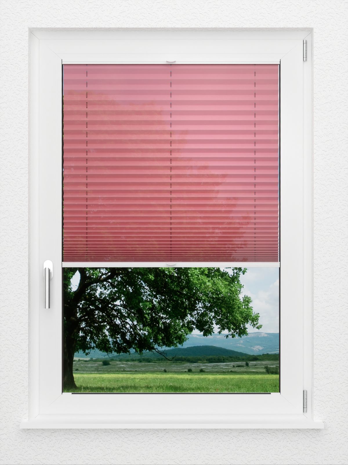 Detailansicht LYSEL HOME Plissee 419A Plain