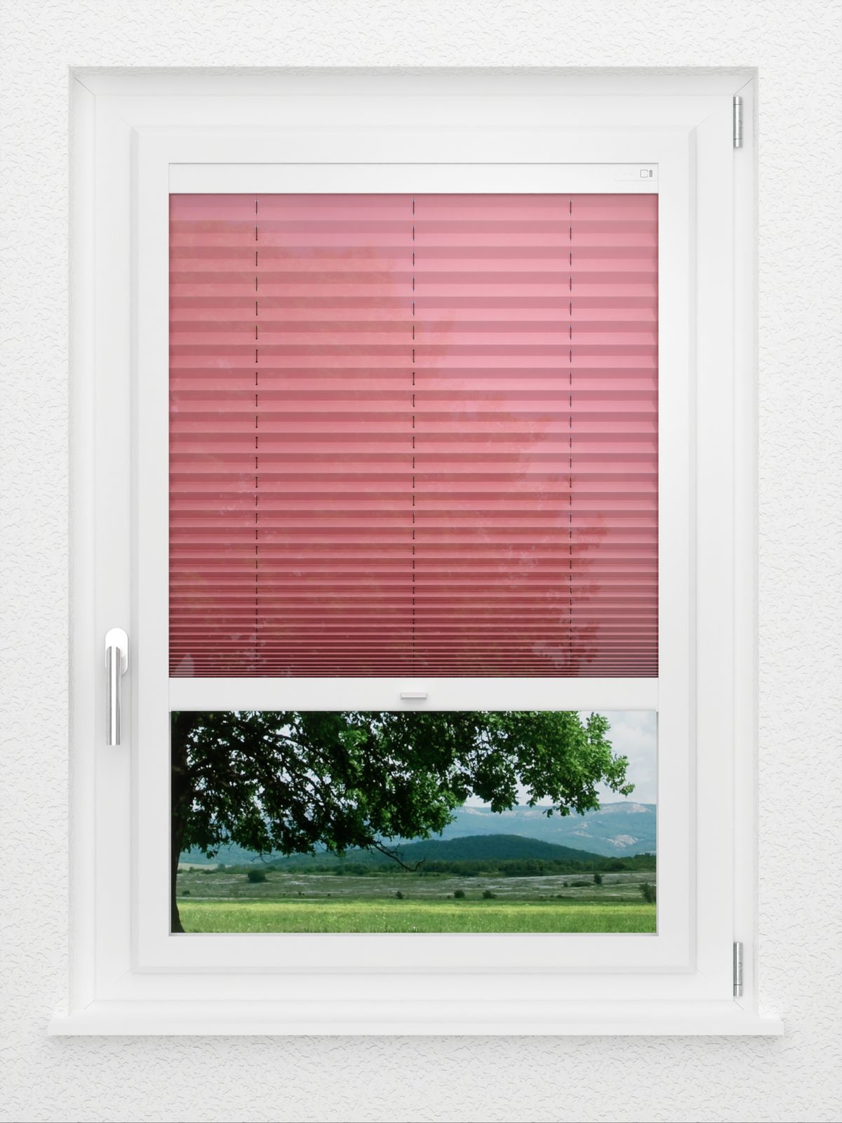 Detailansicht LYSEL HOME Plissee 419A Plain