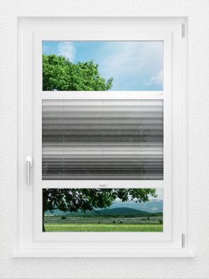 Preview LYSEL HOME Plissee 418A Light Wave 0