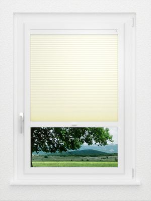 Preview LYSEL HOME Plissee 313A Evelyne Wabe 1