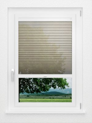 Preview LYSEL HOME Plissee 434A Sensitivo 1