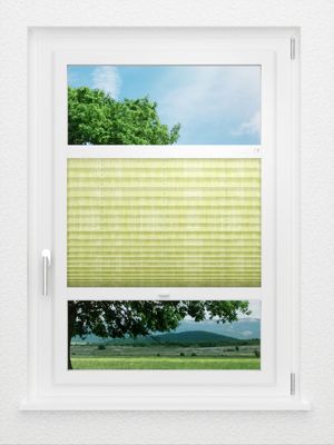 Preview LYSEL HOME Plissee 417A Resolutos 0