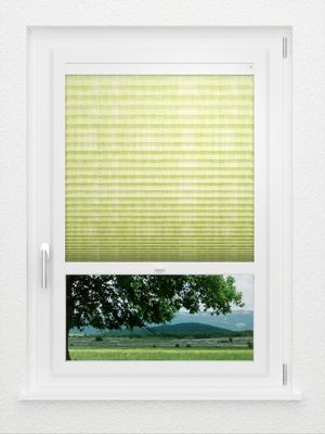 Preview LYSEL HOME Plissee 417A Resolutos 1