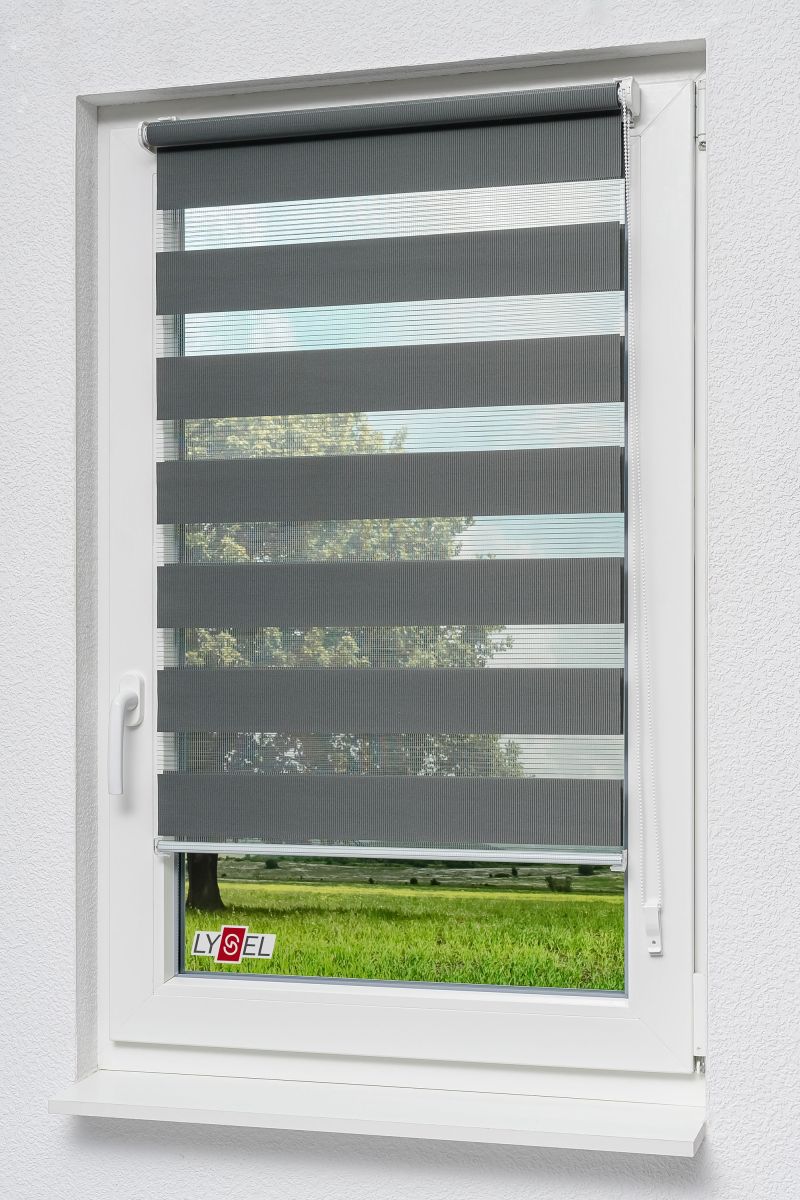 Artikelbild-- Aucun titre déposé --