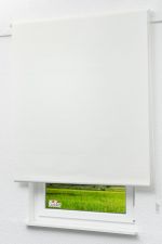 Rollo Standard Lysel Outlet - Verdunkelungsrollo Reinweiß