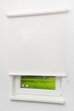 Lysel - Qualitätsrollo Screen Rohweiß
