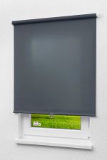 Rollo Standard Lysel - Qualitätsspringrollo Tageslicht Dunkelgrau