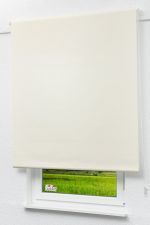 Rollo Standard Lysel Outlet - Basisrollo Tageslicht Hellelfenbein