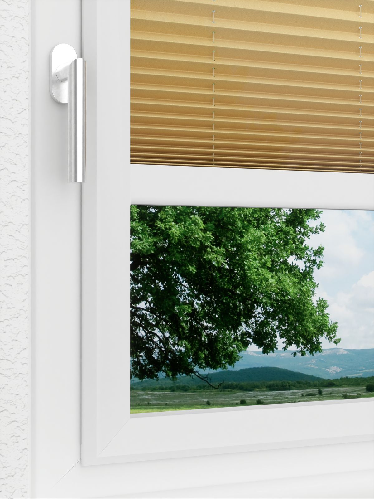 Detailansicht LYSEL HOME Plissé 225A Aralia