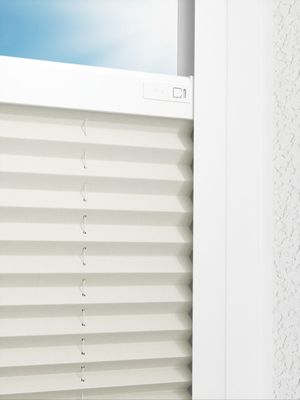 Preview LYSEL HOME Plissé 228A Aralia BO 2