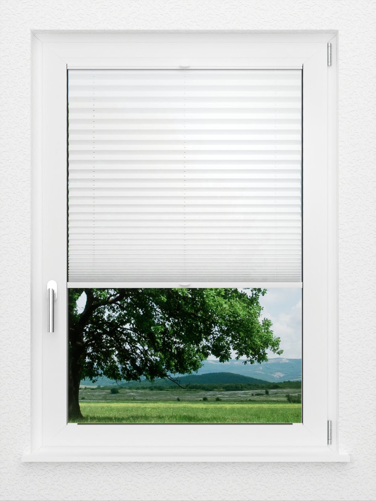 Detailansicht LYSEL HOME Store plissé 205A Crepe