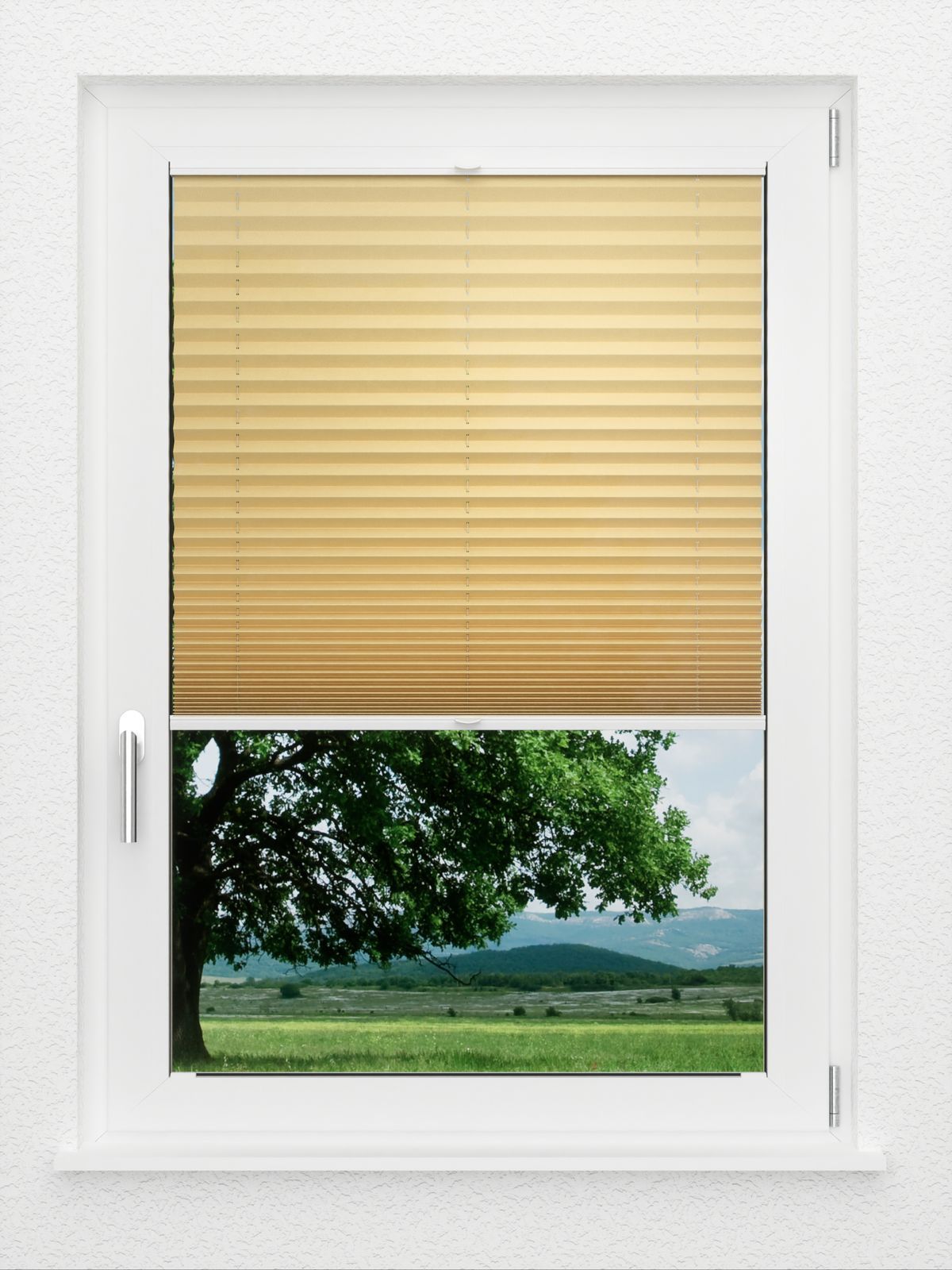 Detailansicht LYSEL HOME Plissé 225A Aralia