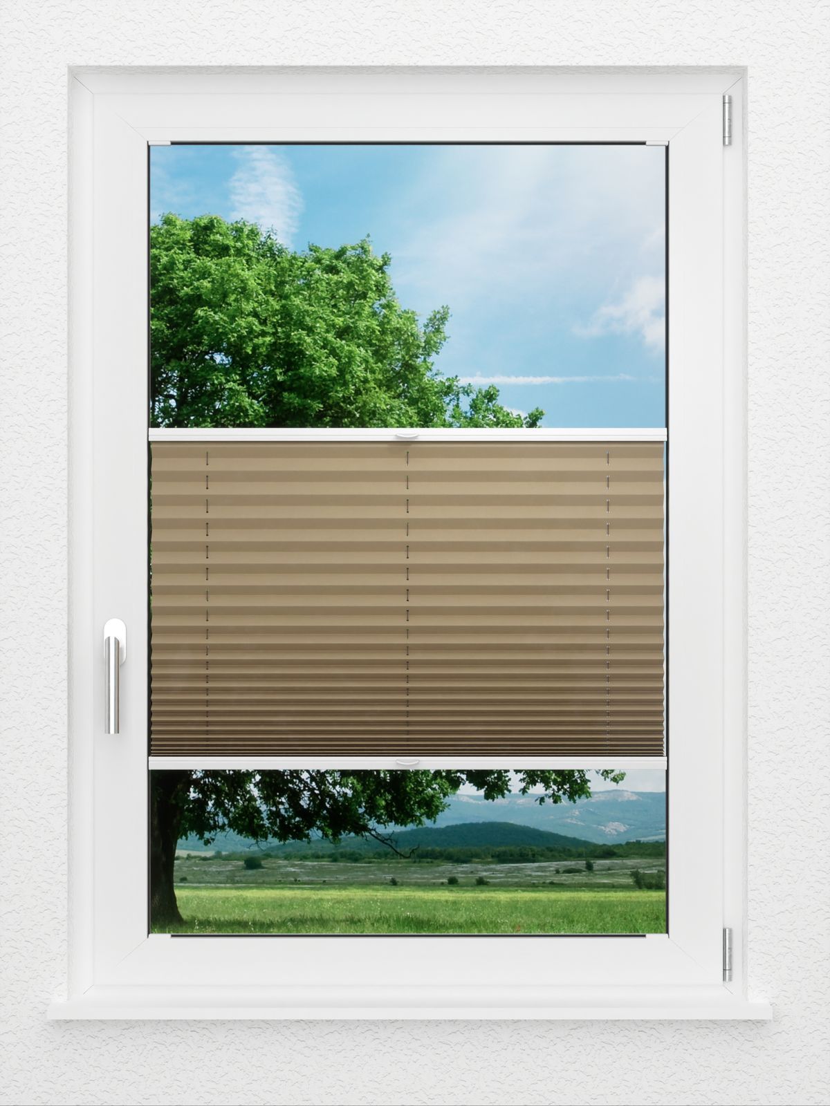 Detailansicht LYSEL HOME Plissé 234A Aralia