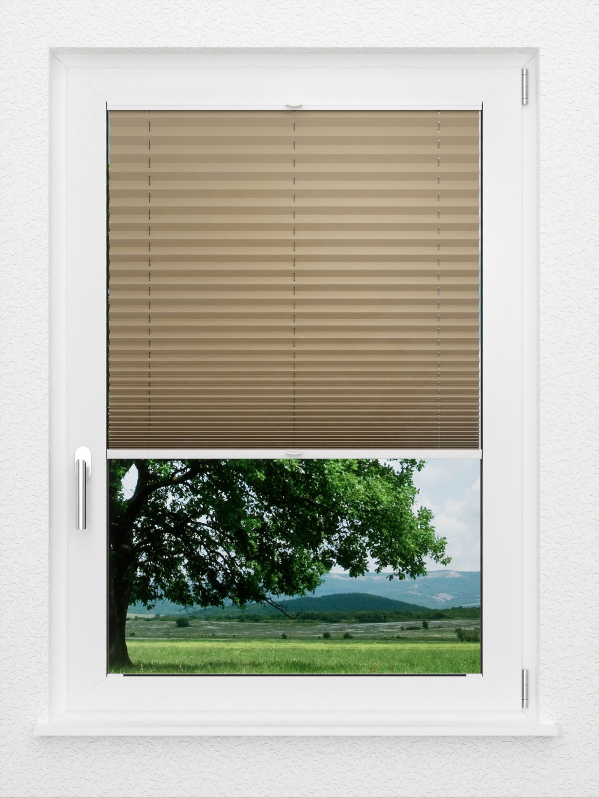 Detailansicht LYSEL HOME Plissé 234A Aralia