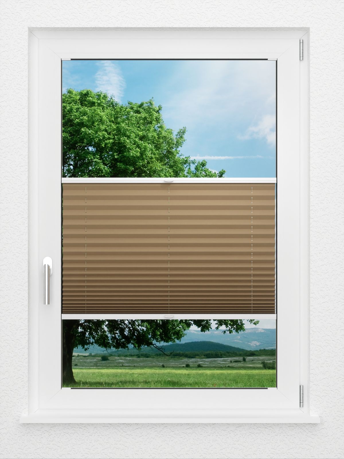 Detailansicht LYSEL HOME Plissé 235A Aralia