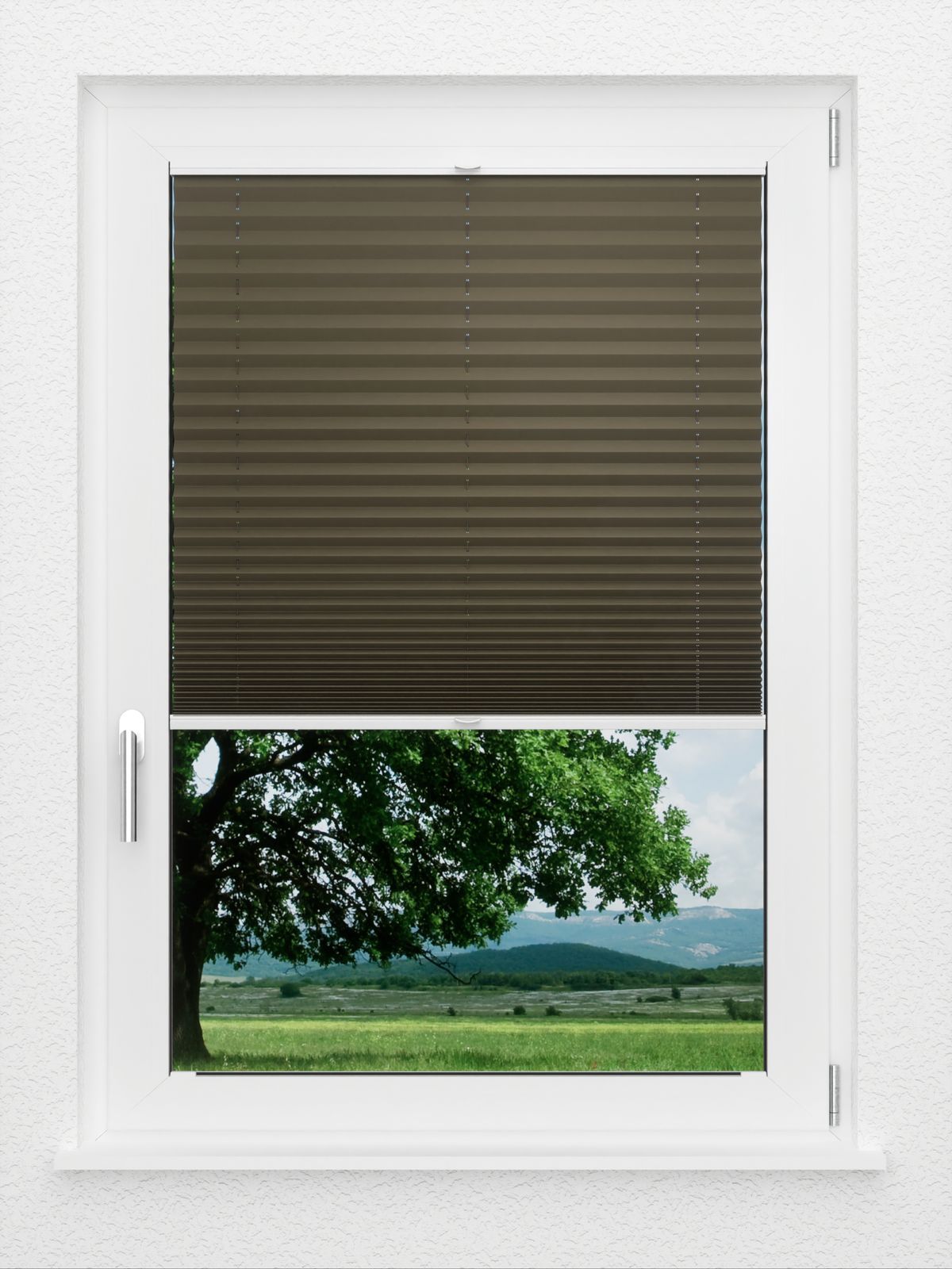 Detailansicht LYSEL HOME Plissé 236A Aralia