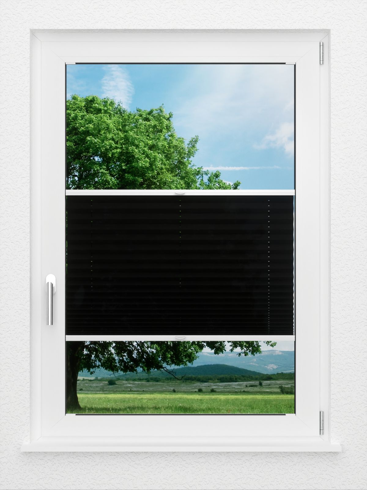 Detailansicht LYSEL HOME Plissé 138A Aralia