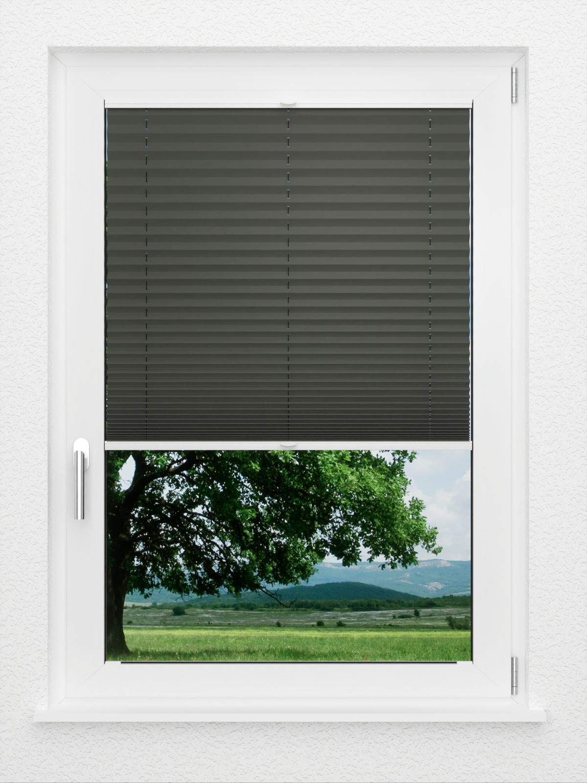 Detailansicht LYSEL HOME Store plissé 202A Crepe BO