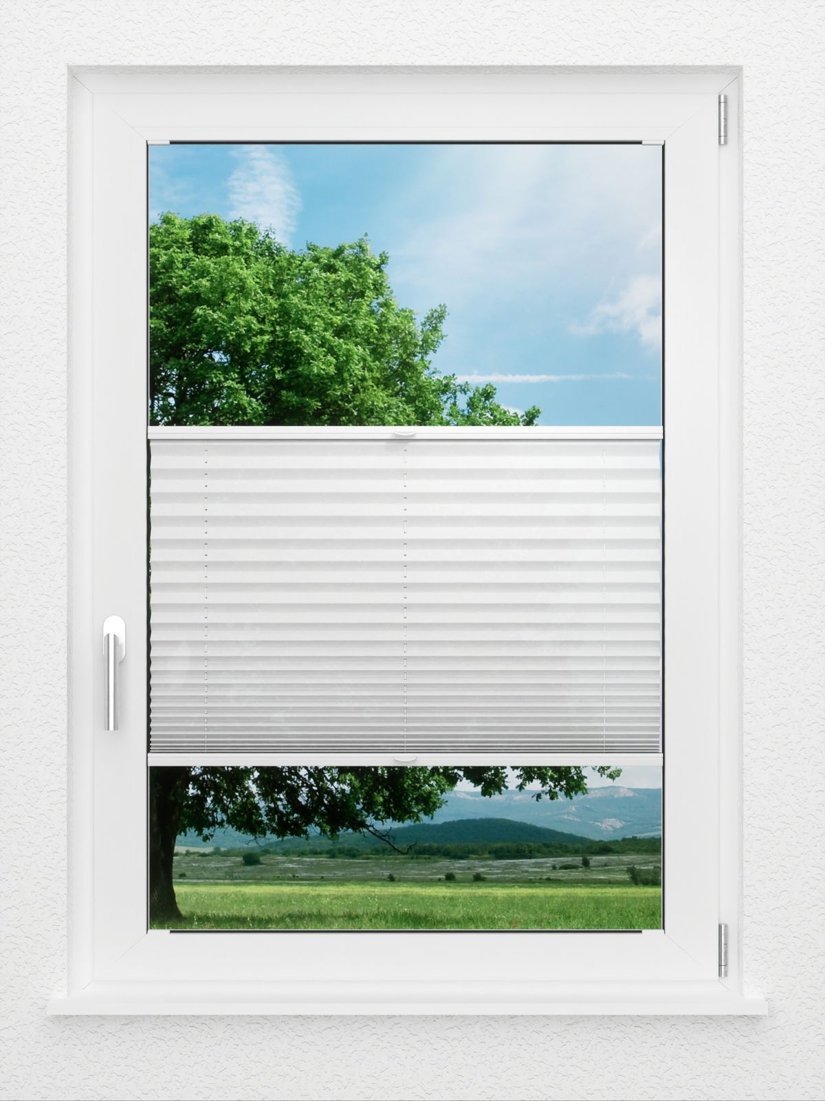 Detailansicht LYSEL HOME Store plissé 104A Crush