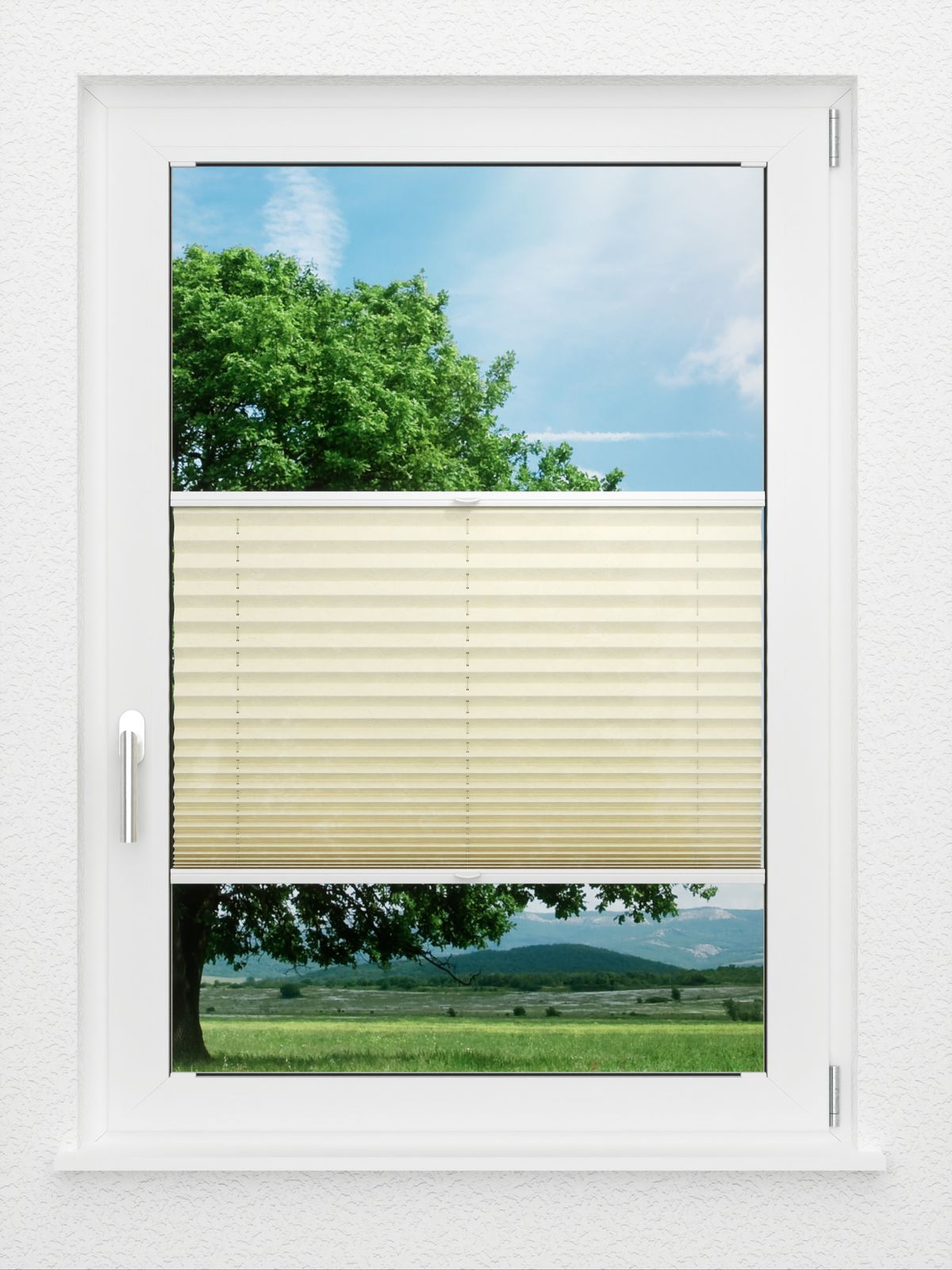 Detailansicht LYSEL HOME Store plissé 107A Crush