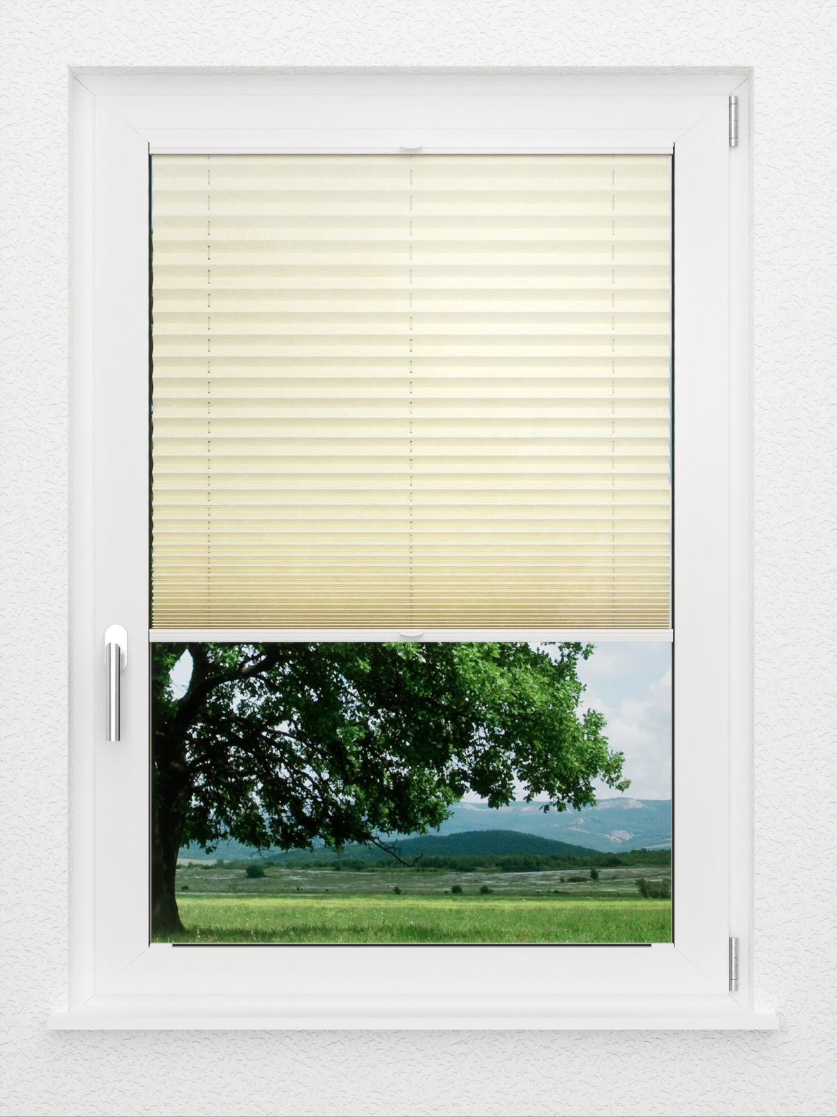 Detailansicht LYSEL HOME Store plissé 107A Crush