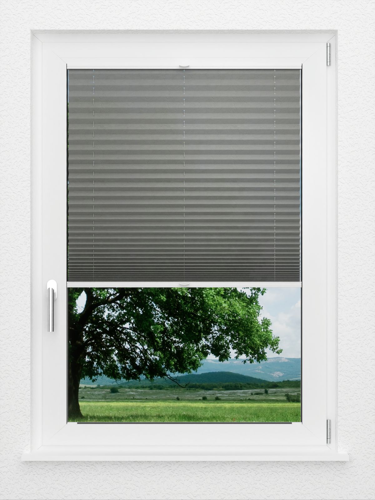 Detailansicht LYSEL HOME Store plissé 109A Crush