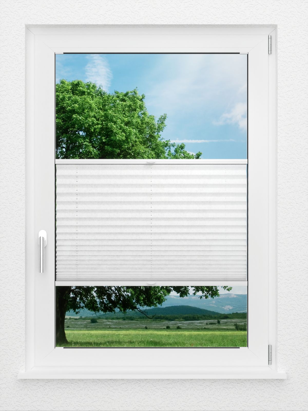 Detailansicht LYSEL HOME Store plissé 204A Loso