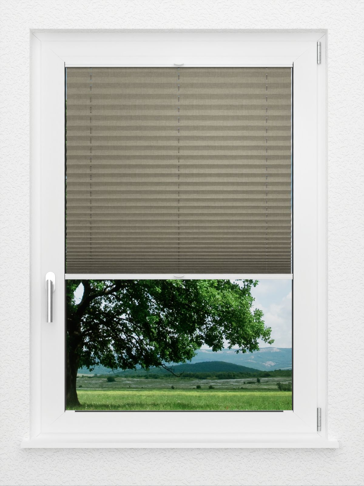 Detailansicht LYSEL HOME Plissé 134A Betula BO