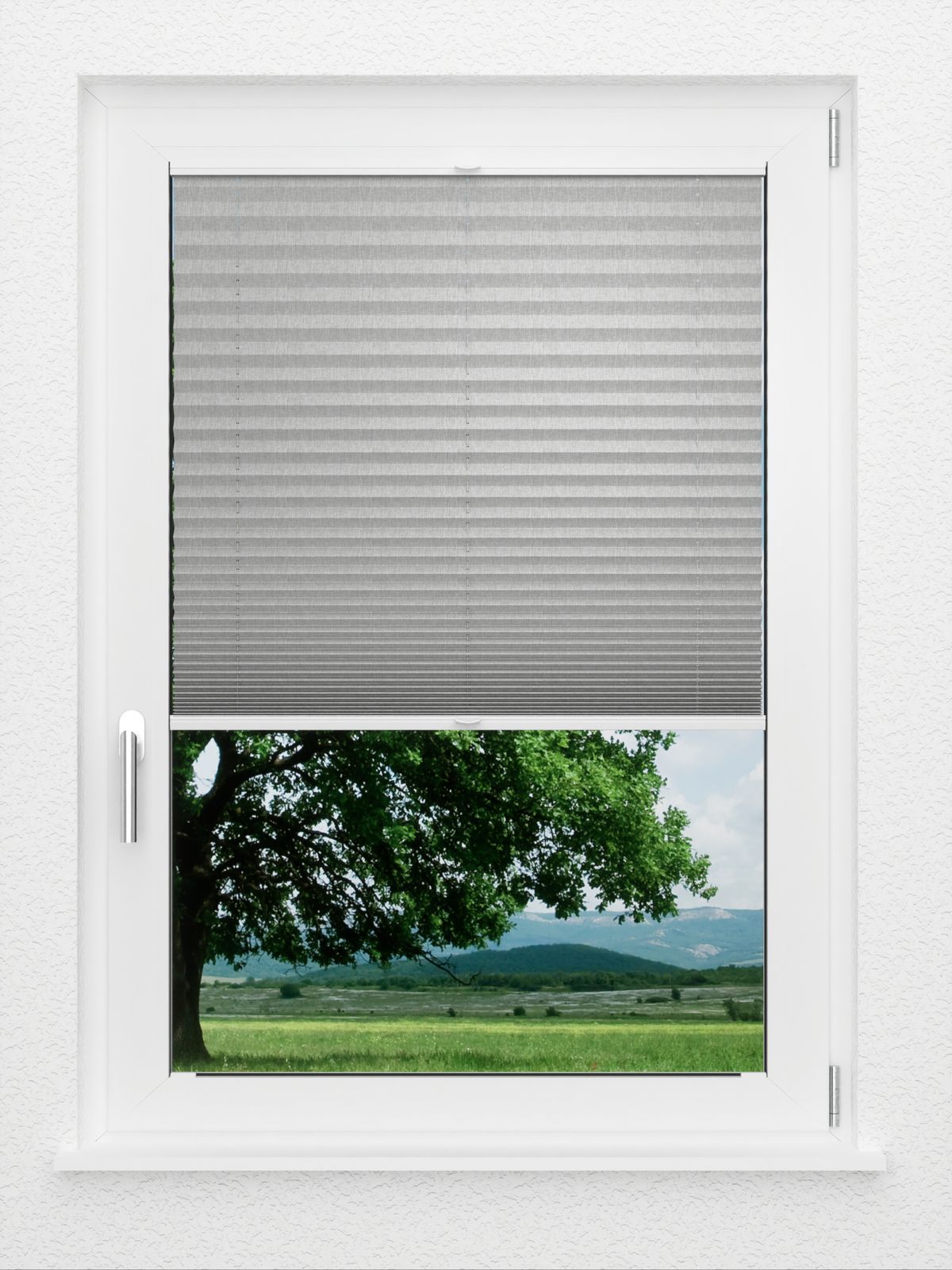 Detailansicht LYSEL HOME Store plissé 217A Torpo BO