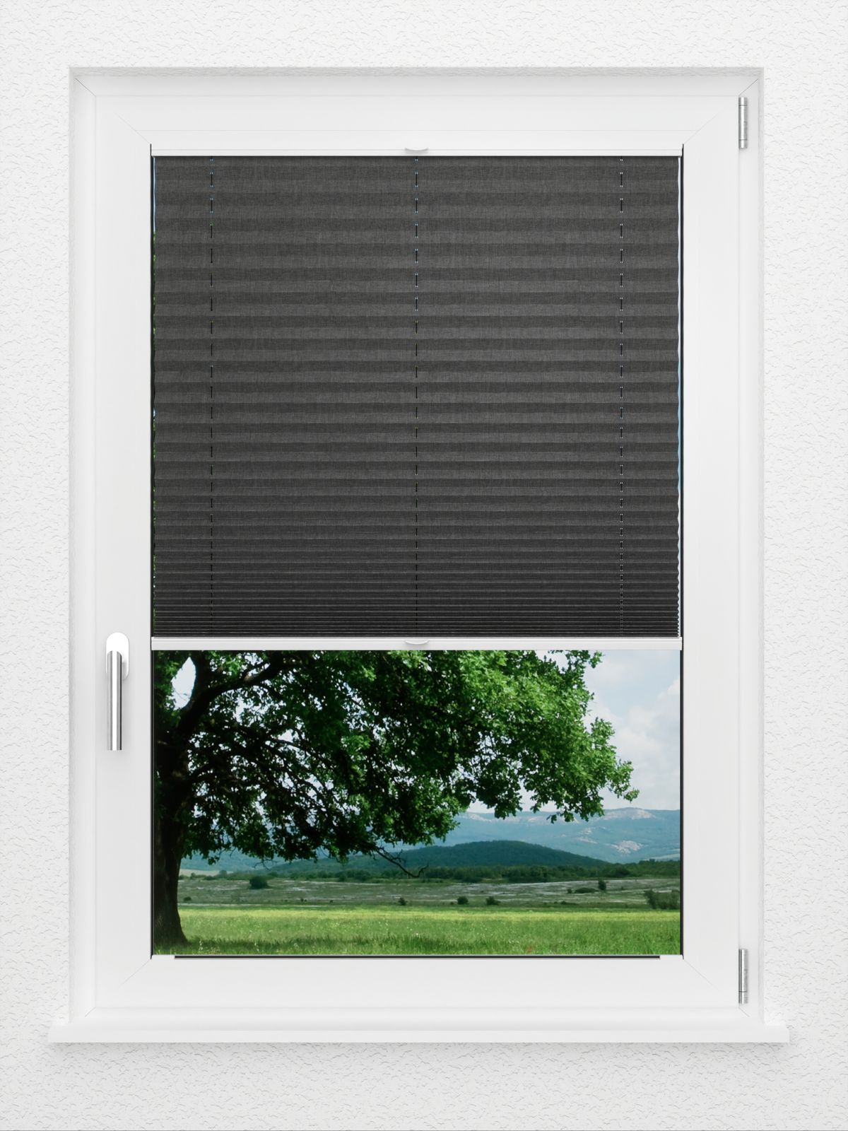 Detailansicht LYSEL HOME Store plissé 117A Torpo BO