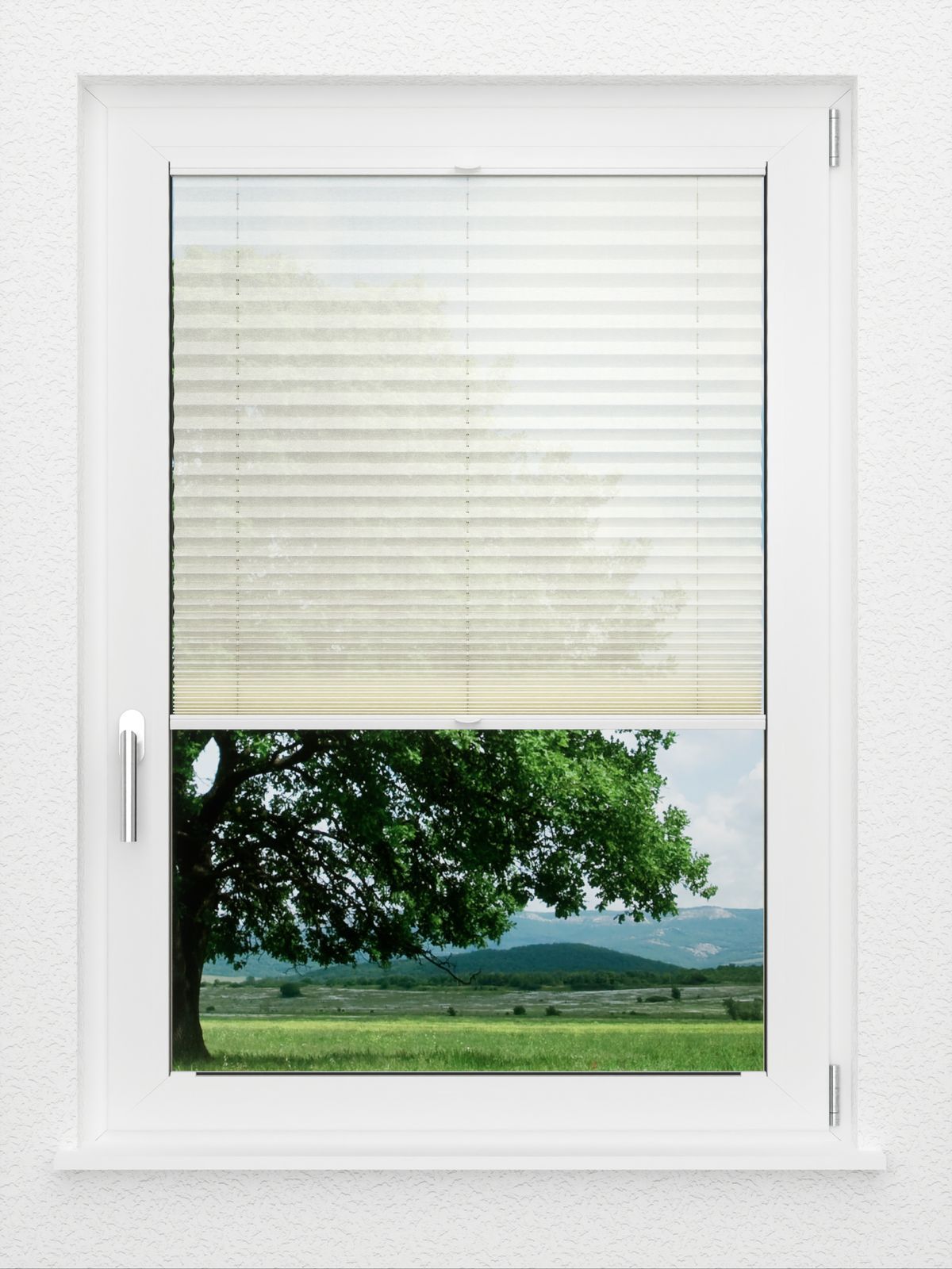 Detailansicht LYSEL HOME Plissé 232A Calluna