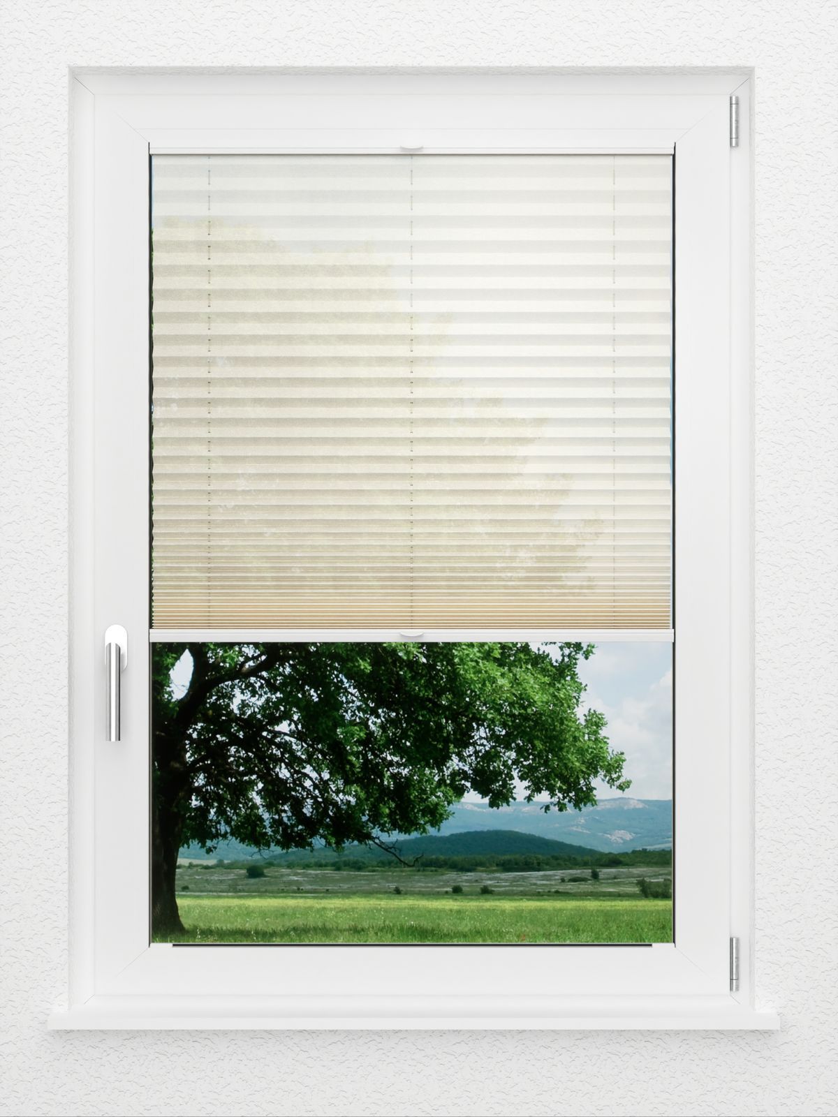 Detailansicht LYSEL HOME Plissé 226A Calluna