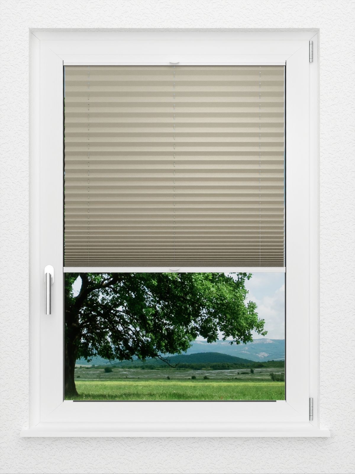 Detailansicht LYSEL HOME plissé 308A Alora