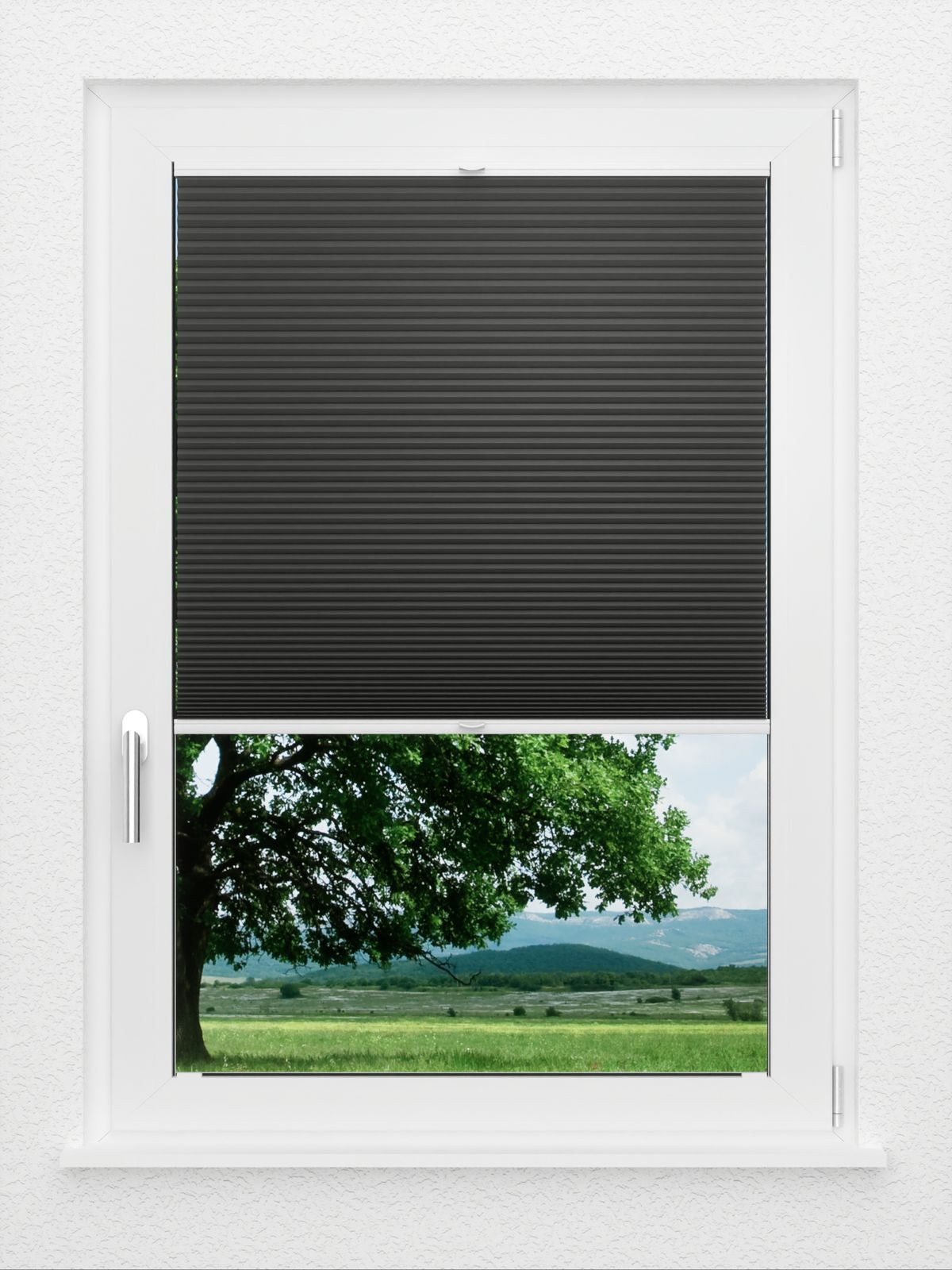 Detailansicht LYSEL HOME Plissee 034A Nana BO Wabe