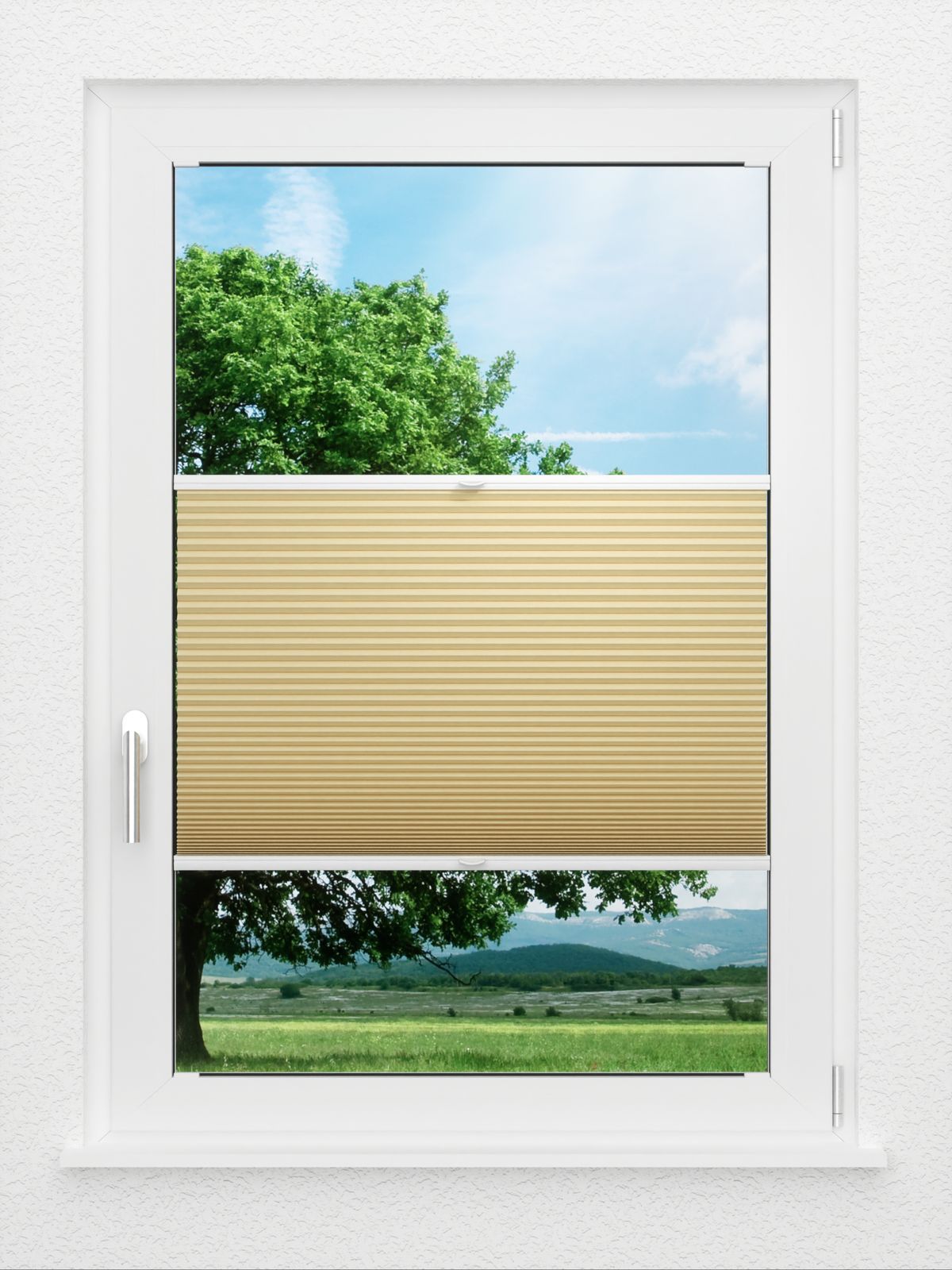 Detailansicht LYSEL HOME plissé nid d'ab. 031A Alba LI