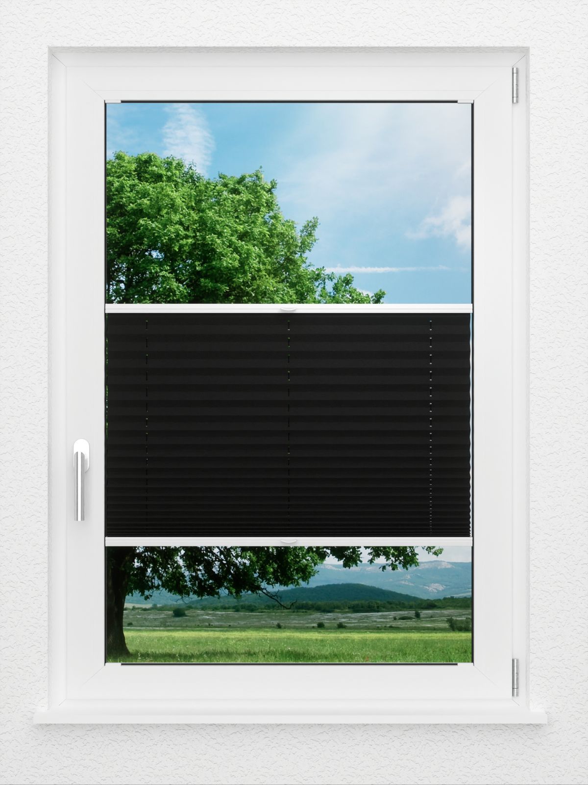 Detailansicht LYSEL HOME Plissé 238B Aralia BO