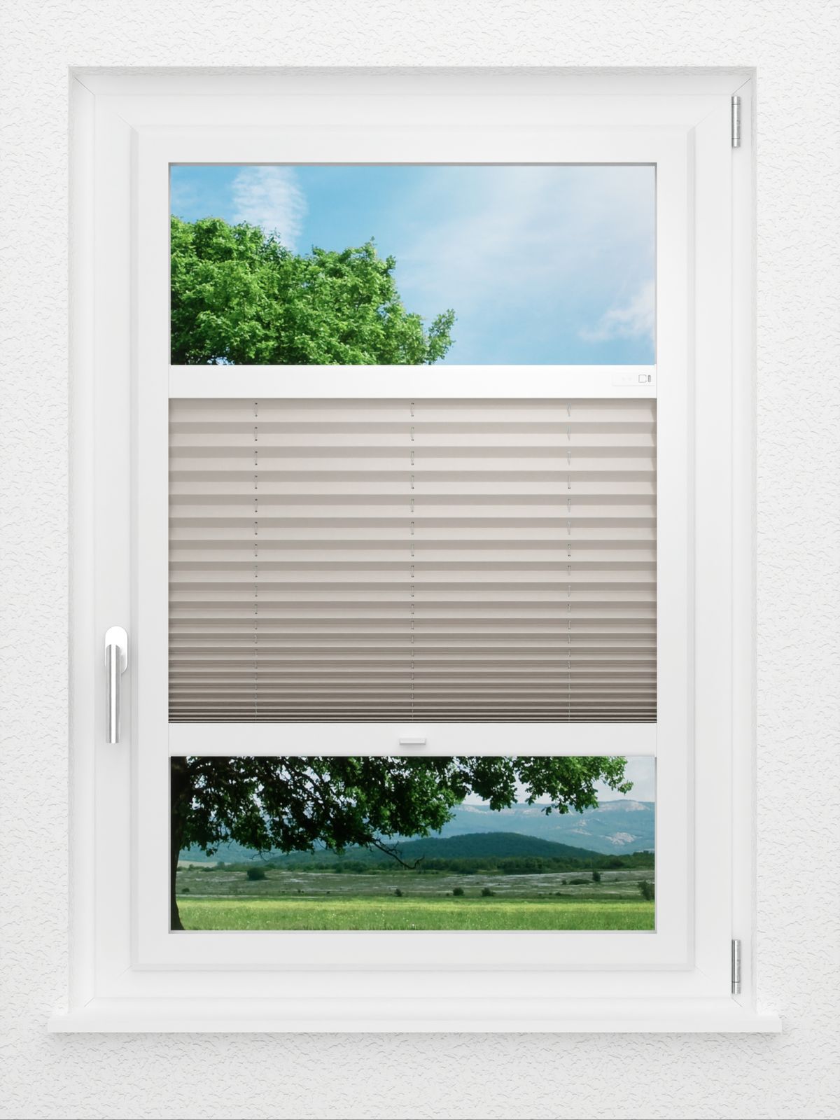 Detailansicht LYSEL HOME Plissé 128B Aralia
