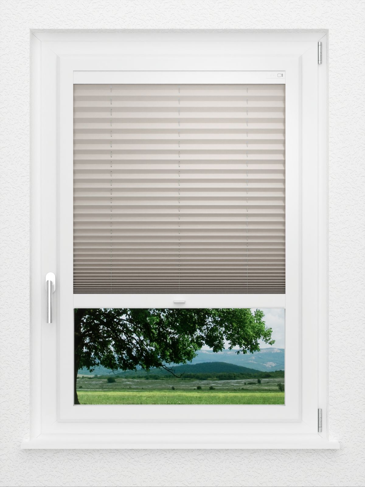 Detailansicht LYSEL HOME Plissé 128B Aralia