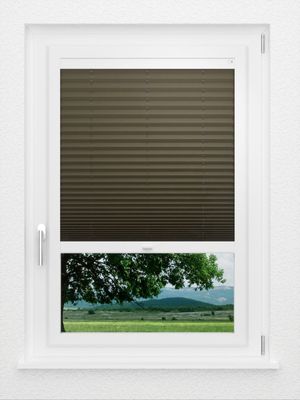 Preview LYSEL HOME Plissé 236A Aralia 1