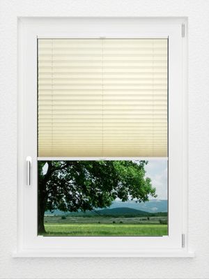 Preview LYSEL HOME Store plissé 107A Crush 1