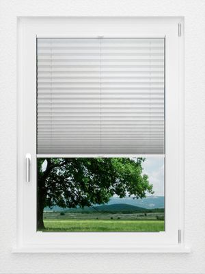 Preview LYSEL HOME Store plissé 106A Crush 1