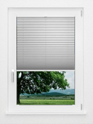 Preview LYSEL HOME plissé 239A Crush Pearl 1