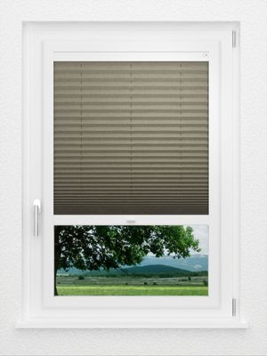 Preview LYSEL HOME Plissé 134A Betula BO 1