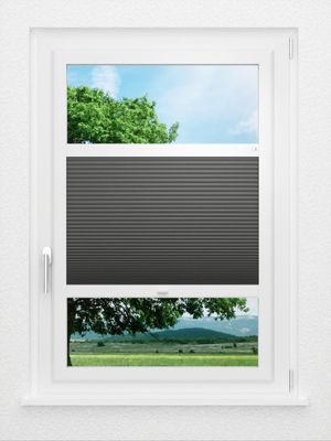 Preview LYSEL HOME Plissee 037A Alba LI Wabe 0
