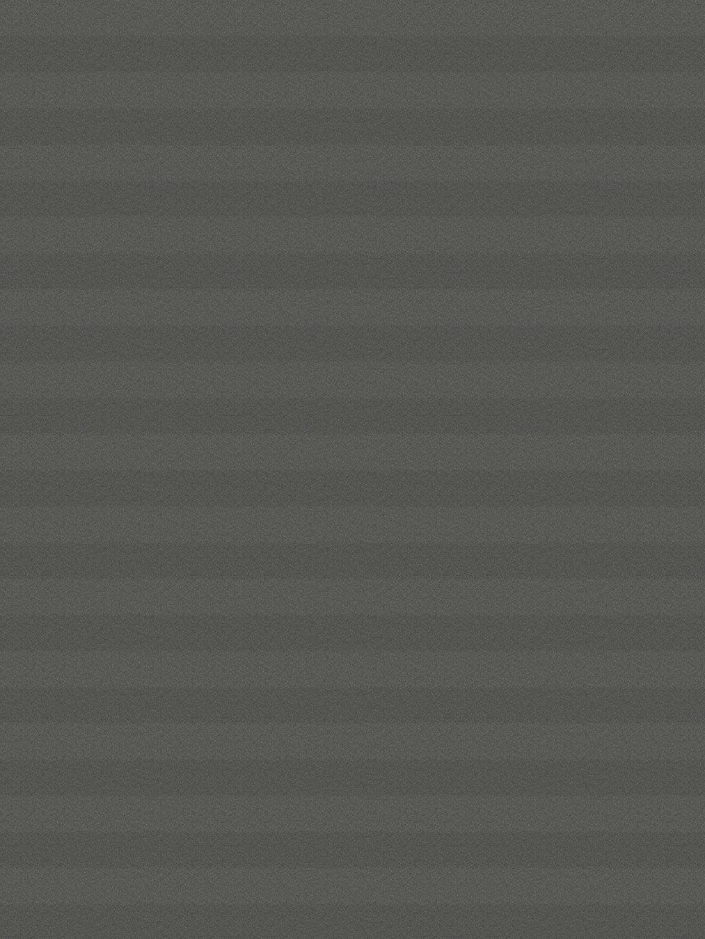 Detailansicht LYSEL HOME Store plissé 202A Crepe BO