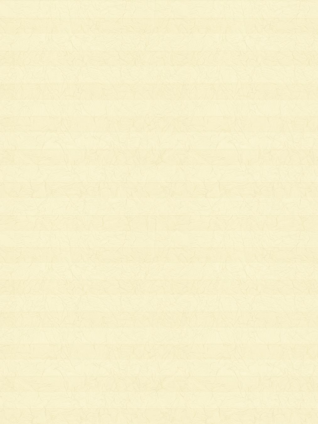 Detailansicht LYSEL HOME Store plissé 107A Crush