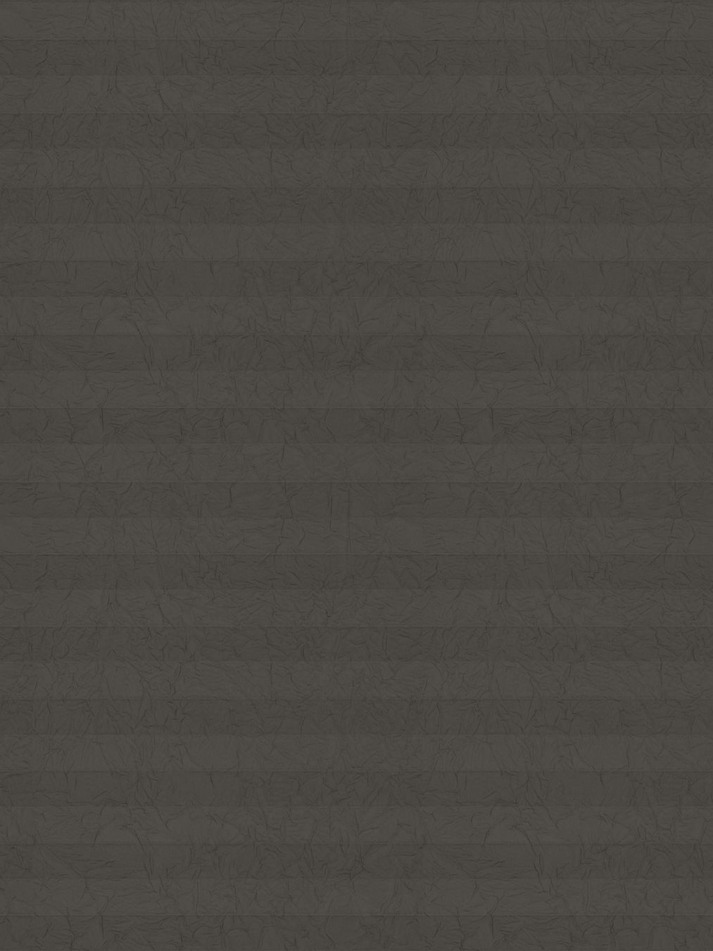 Detailansicht LYSEL HOME Plissé 230A Erinus