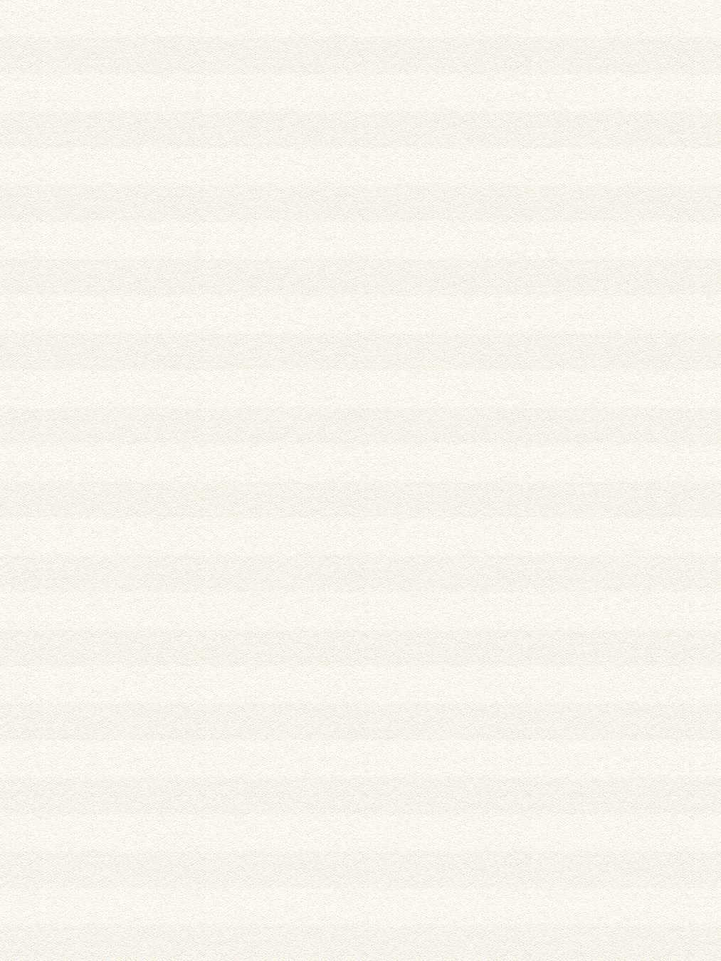 Detailansicht LYSEL HOME plissé 307A Alora